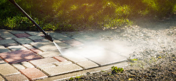 Best Fleet Vehicle Washing  in Woodcreek, TX